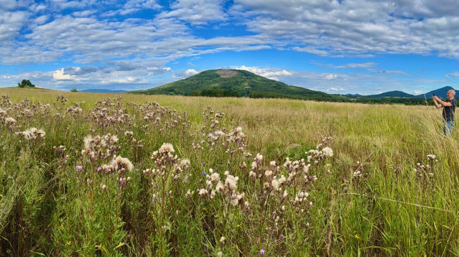 Další domov pro přírodu vyroste v?Brništi na severu Čech