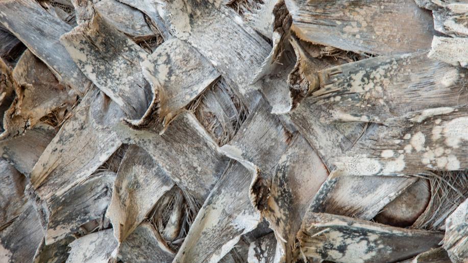 V Peru při razii proti pašerákům našli 12 tun žraločích ploutví pro asijský trh