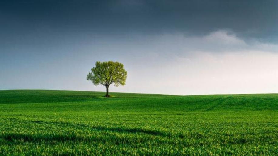 Zpráva o životním prostředí za rok 2024: Čistší ovzduší, obnova lesů a ekonomický růst bez využití fosilních paliv