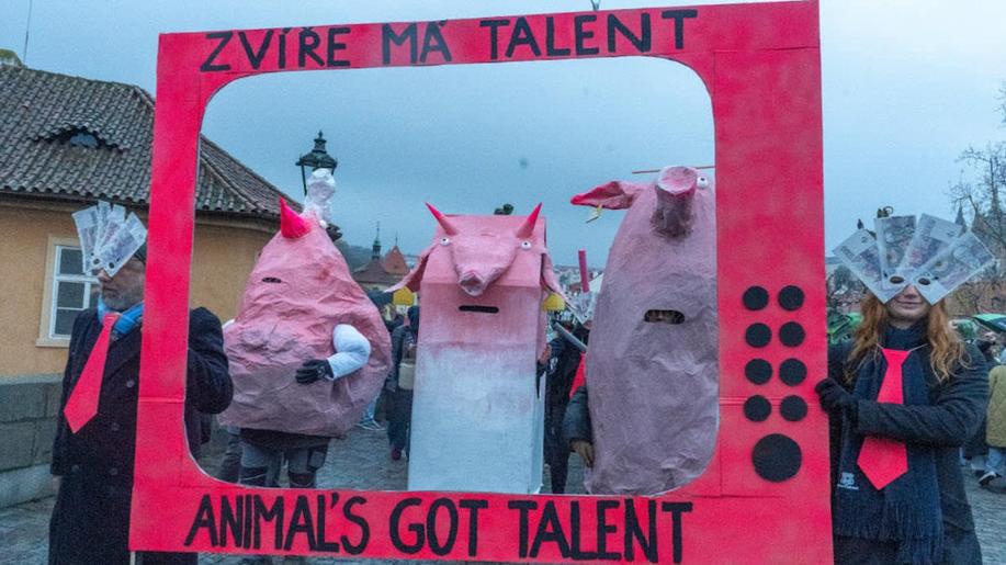 Obránci zvířat představili na Sametovém posvícení satiru na skrytou realitu velkochovů zvířat