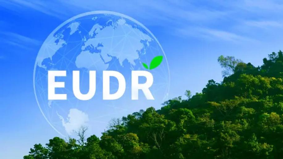 Nařízení proti odlesňování bude odloženo a zjednodušeno