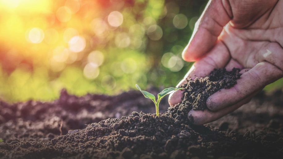 Nejsilnějšího spojence máme přímo pod nohama. Světový den půdy upozorňuje na biodiverzitu i hrozbu eroze