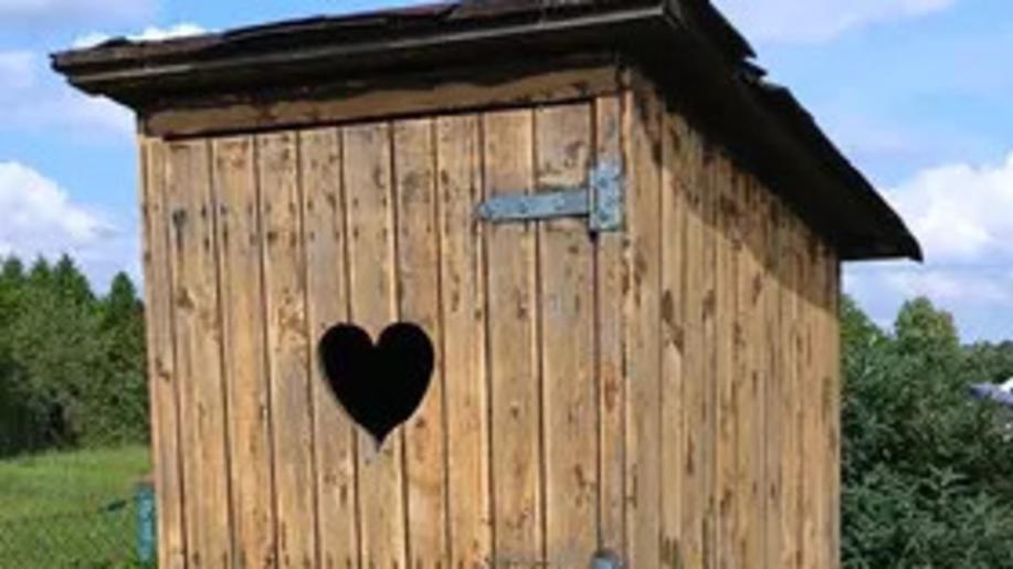 Medvěd v Japonsku zaútočil na muže na veřejném záchodku, ten se ubránil