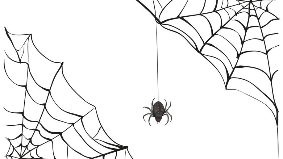 Na pražském Petříně byl objeven pavouk, který se vzdal sexu. Vědci CARC popsali nový druh: šestiočku bezmužnou