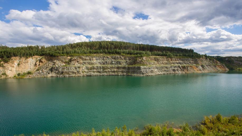 Vědci objevili v pískovnách na Moravě unikátního křížence lakušníků
