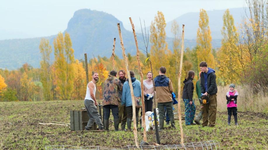 Střimická výsypka se mění na ptačí ráj. Ornitologové v zapomenuté krajině nastartovali obnovu přírody
