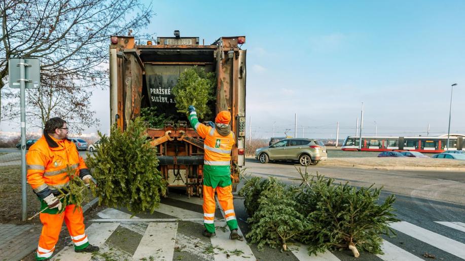 Kam odnést stromečky po svátcích? Ideálně k barevným nádobám na tříděný odpad!