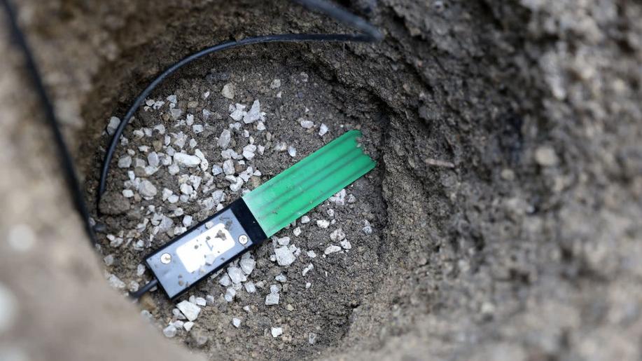 Vídeň testuje chytrý zavlažovací systém pro stromy