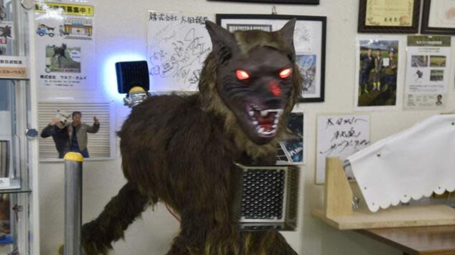 Japonci nasazují do boje s medvědy novou zbraň - robotického vlka