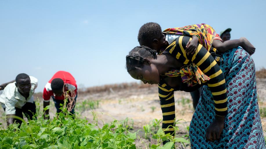 Zambie: Humanitární organizace CARE pomáhá v zemi, která trpí extrémním suchem i ničivými povodněmi Zambie: Humanitární organizace CARE pomáhá v zemi, která trpí extrémním suchem i ničivými povodněmi