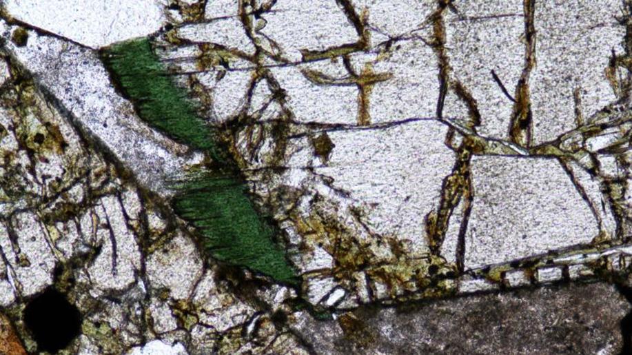 Vzácný egirín z Podbeskydí: vědci znají jeho původ