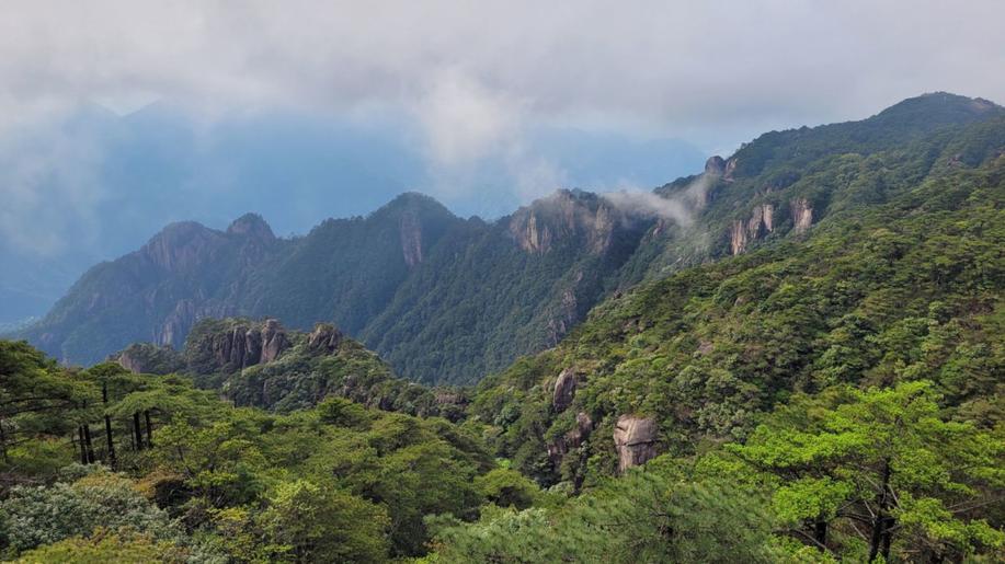Stromy jako archiv klimatu: letokruhy odhalují minulost extrémních srážek z tropických cyklón 