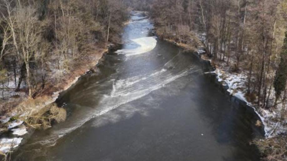 MŽP monitoruje situaci kolem aktuálního úniku kejdy do Dyje