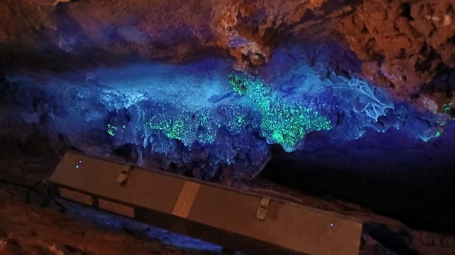 Koněpruské jeskyně otevírají brány nově již od února. Turisty zve i Zbrašov