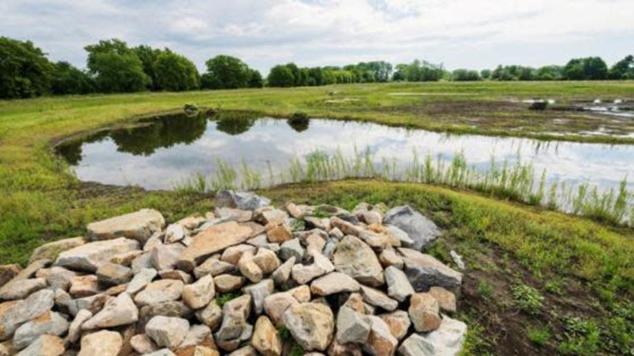 Vzniknou další tůně, mokřady, remízky či stromořadí - MŽP uvolňuje 330 milionů na zadržení vody v krajině a více zeleně v obcích