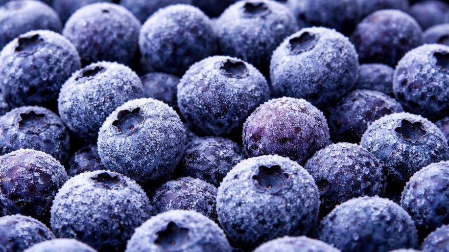 Bateriové úložiště z borůvek? To není sci-fi, ale maximálně využitý potenciál provozu české mrazírny BIO surovin