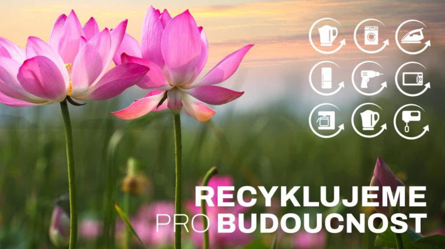 Elektrowin loni zrecykloval elektrospotřebiče o váze šesti Žižkovských věží 