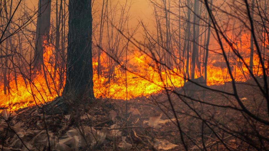 Hasiči v uplynulých deseti letech hasili v průměru 5000 přírodních požárů ročně