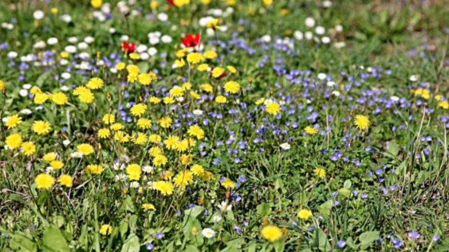 Ministerstvo životního prostředí vydalo na svých webových stránkách březnový Věstník