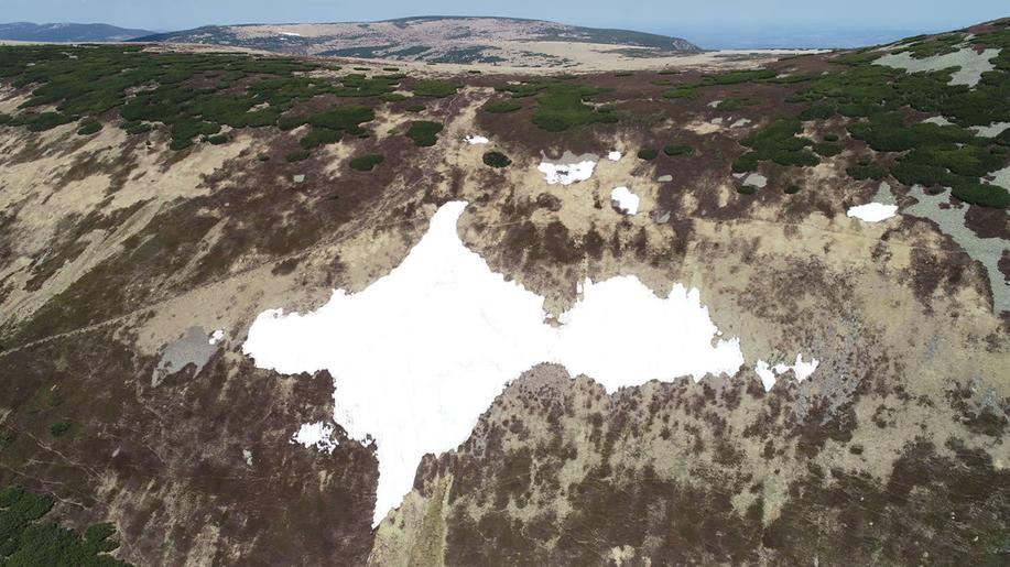 Sněhové pole Mapa republiky v Krkonoších má letos nejméně sněhu za 25 let
