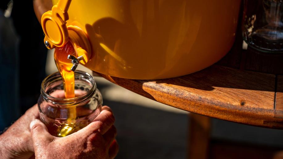 Studenti ČVUT vyvinuli chytrou včelí váhu, určí vhodnou dobu na stáčení medu