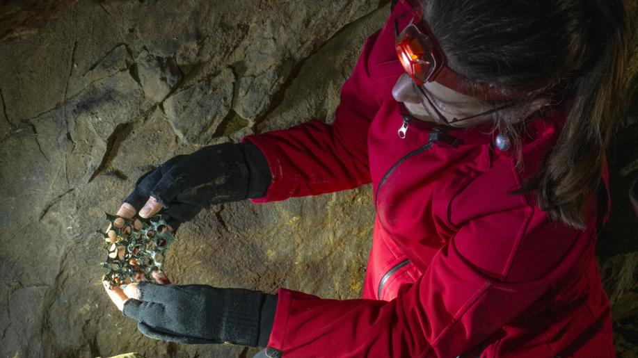 Archeologové našli v Kateřinské jeskyni další doklad penězokazectví