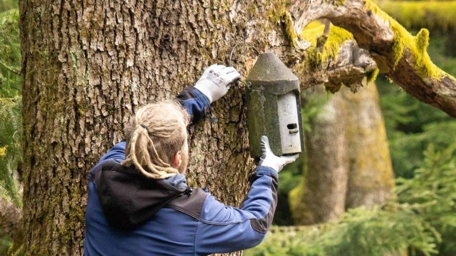 Dobrovolníci připravili bezpečné zázemí pro netopýry v Novém pralese