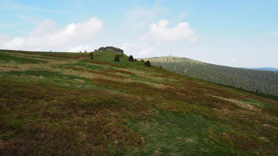 Evropské ekosystémy reagují na oteplování rozdílně: horské vrcholy se mění pětkrát rychleji než lesy a louky