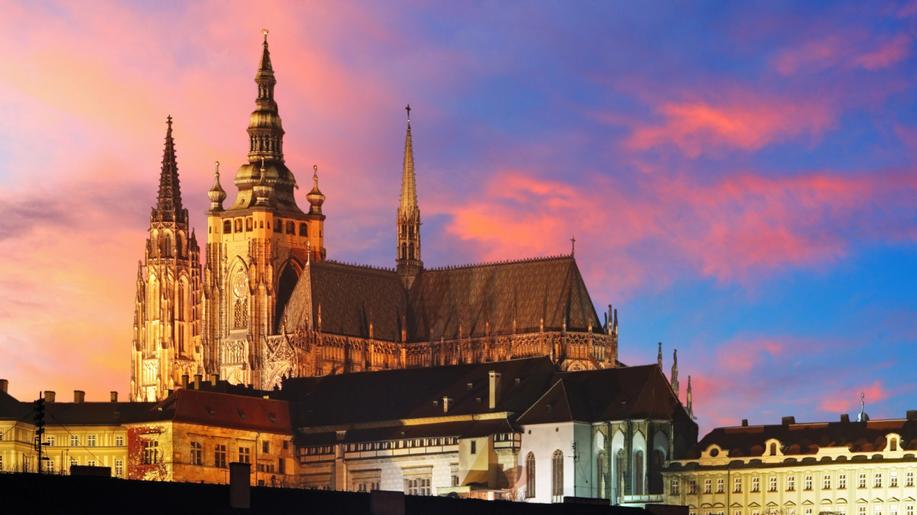 Areál Pražského hradu tvoří ekosystém se vzácnými druhy, ukázal průzkum biologů