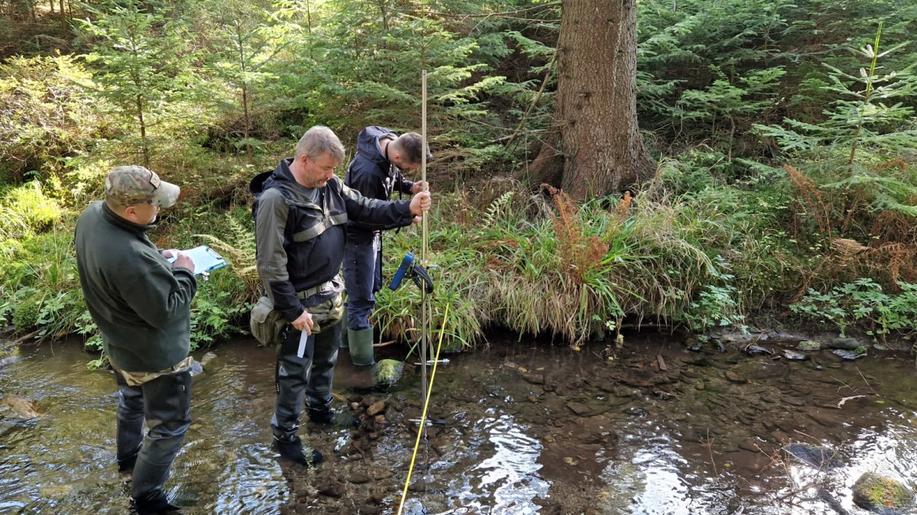 Dočasné odlesnění způsobené kůrovcovou kalamitou nevede k vysychání krajiny