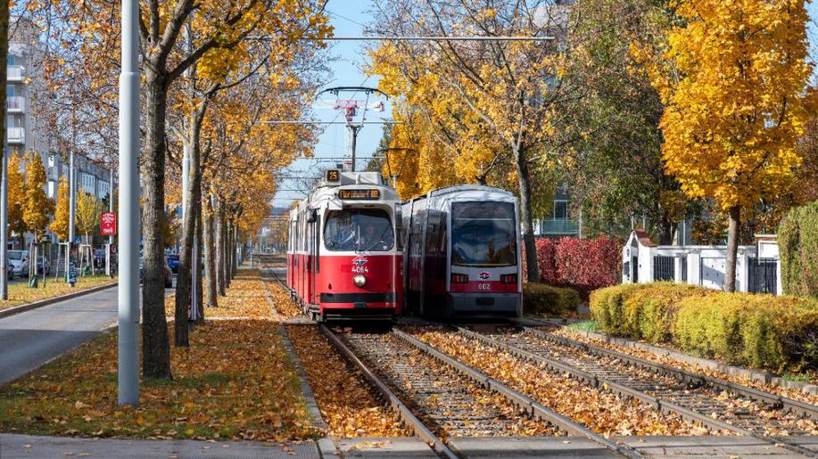 Vídeň uvolňuje cestu tramvajím a autobusům