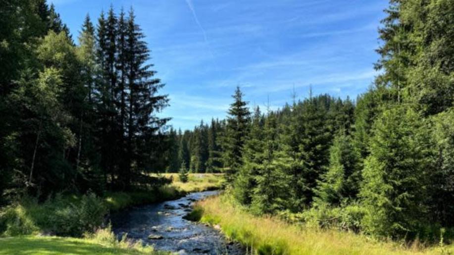 Správa národního parku znovu posoudí otevření Modrého sloupu na Šumavě