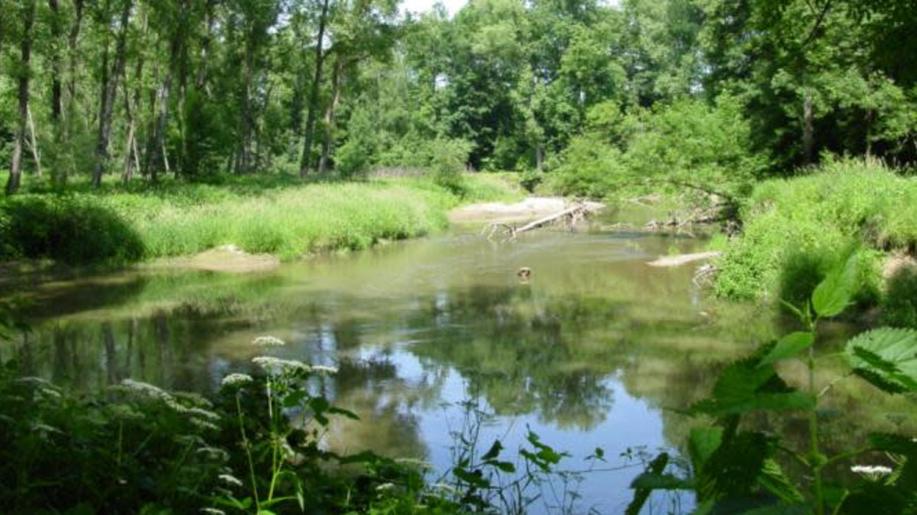 Sdělení odboru ochrany vod MŽP, kterým se zveřejňuje seznam monitorovací sítě veřejné hydrometeorologické služby v oblasti hydrologie