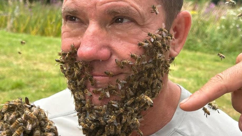 Tajný život včel se Stevem Backshallem na Viasat Nature