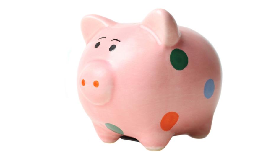 V brněnské oboře Holedná se narodila selata, jedno je puntíkované