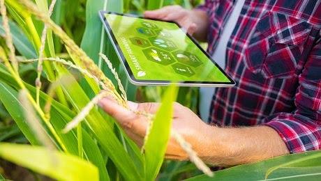 EU zavádí nová pravidla pro genomické techniky v zemědělství
