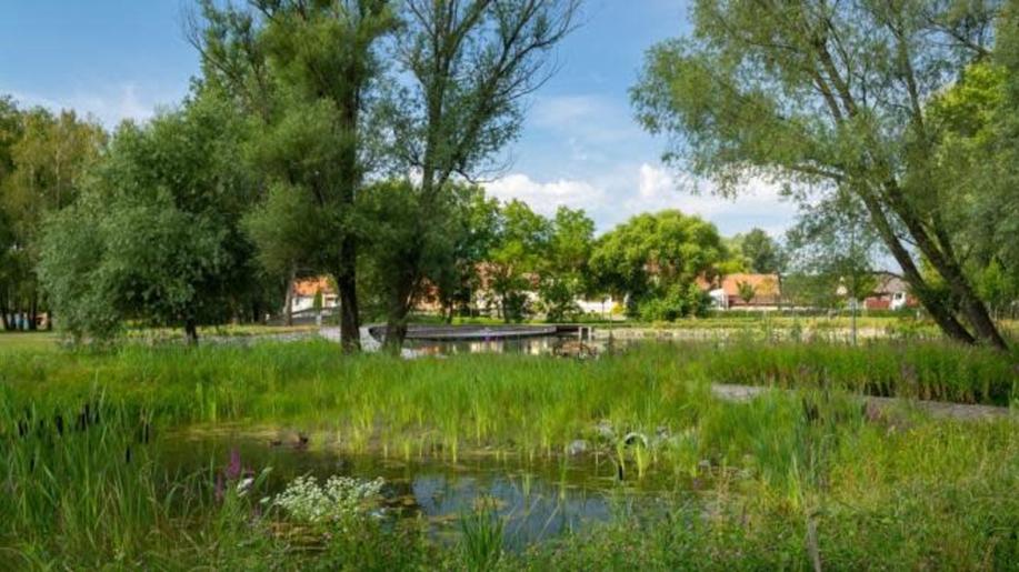 Jak bude vypadat česká příroda v budoucnu? MŽP představí první návrh Národního plánu na obnovu přírody