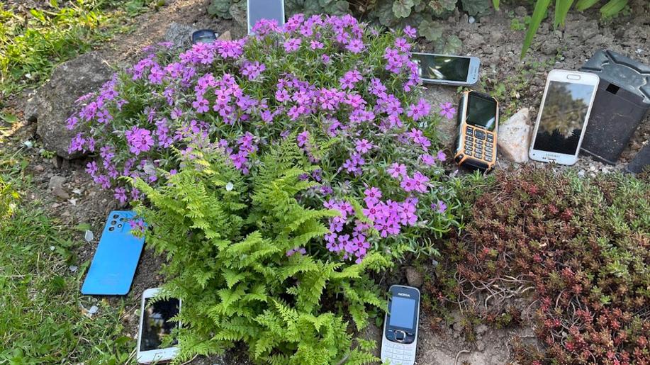 Zápis v České knize rekordů! Odevzdalo se nejvíce starých mobilních telefonů