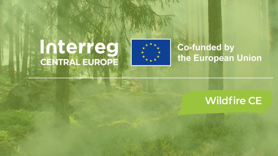 Jak oheň pomáhá krajině: naše zkušenost z Podyjí Jak oheň pomáhá krajině: naše zkušenost z Podyjí