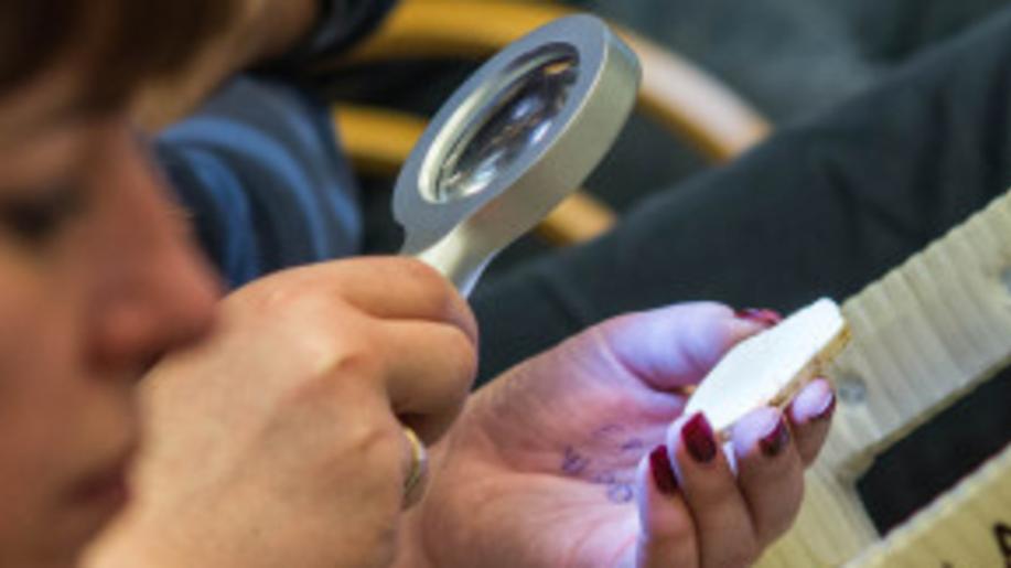 Workshop a společná inspekce IMPEL Wildlife Trafficking v ČR