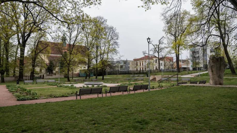 Představení finalistů letošního E.ON Energy Globe - UpGreen: Analýza stromů založená na satelitních datech
