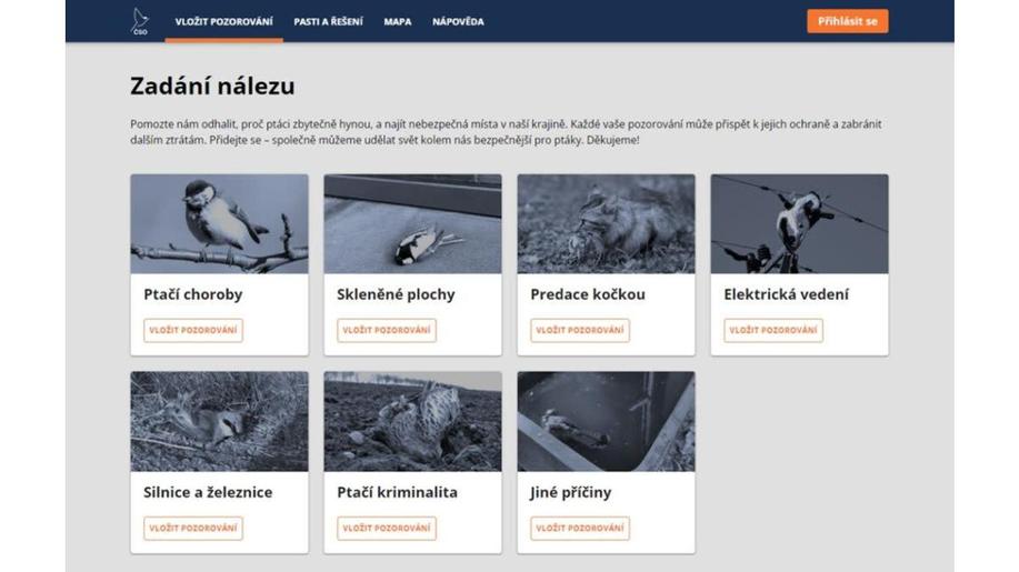 Ptačí pasti: nový program ČSO zapojí veřejnost do mapování úhynů ptáků způsobených člověkem Ptačí pasti: nový program ČSO zapojí veřejnost do mapování úhynů ptáků způsobených člověkem
