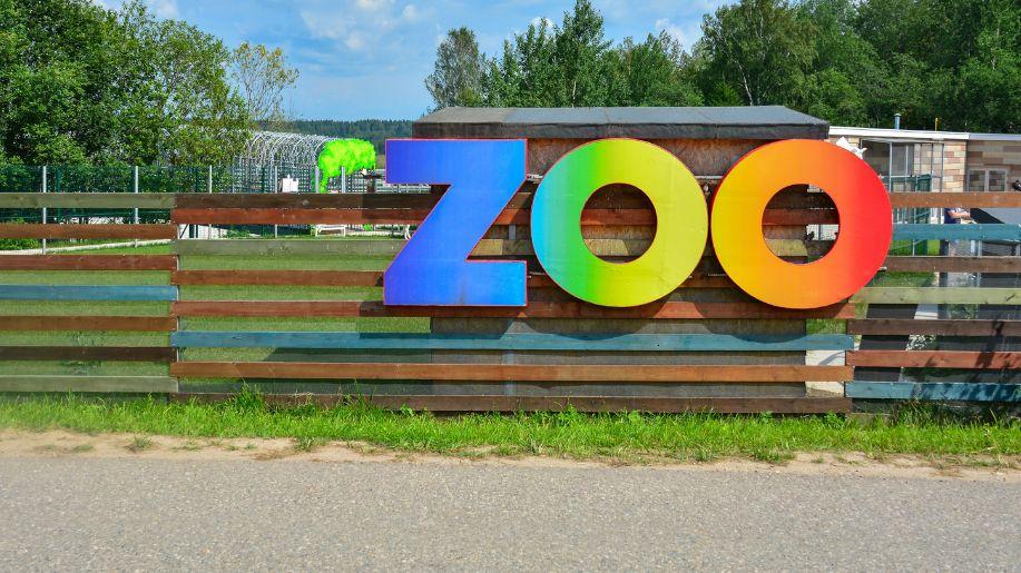 Jihlavská zoo předala dva odchované aligátory čínské do Polska