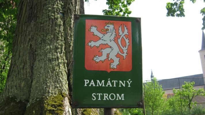 Středočeští starostové budou jednat o dalším osudu Brd 