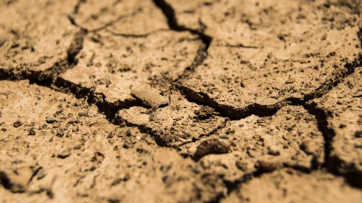 Sucho a klimatická změna neznají hranice. Připraví se studie, které ukáží možná řešení problému sucha v Jihomoravském kraji