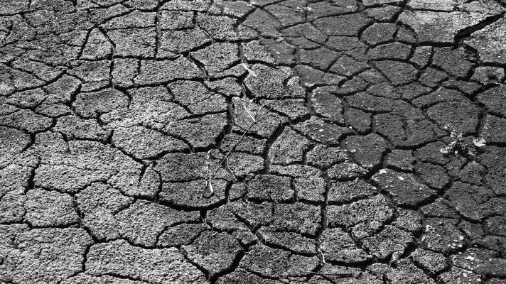 Vysoké teploty a nevyrovnané srážky loni způsobily významné sucho, uvádí zpráva