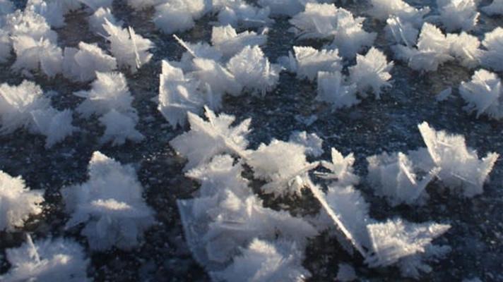 Brněnští vědci zkoumali ledové květy, za ozónové díry prý nemůžou