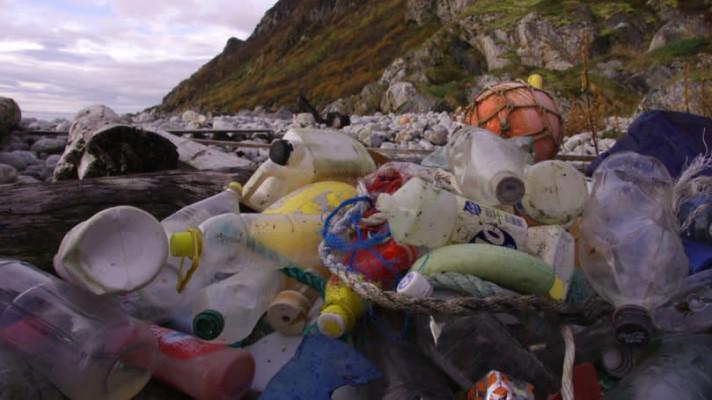 Plastic eating system could help solve recycling crisis