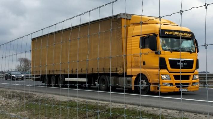 ŘSD oplotí po celé délce D6 v Karlovarském kraji, kvůli zvěři ŘSD oplotí po celé délce D6 v Karlovarském kraji, kvůli zvěři