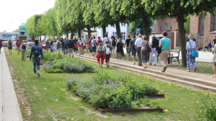Pardubice zavedou standard péče o zeleň a dešťovou vodu Pardubice zavedou standard péče o zeleň a dešťovou vodu